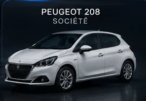 Peugeot 208 Société 2 places
